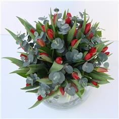 Christmas Special Tulips