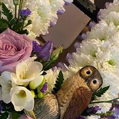 3D Owl in nest on pillow