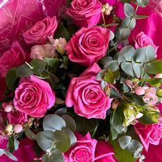 Dozen hot pink roses