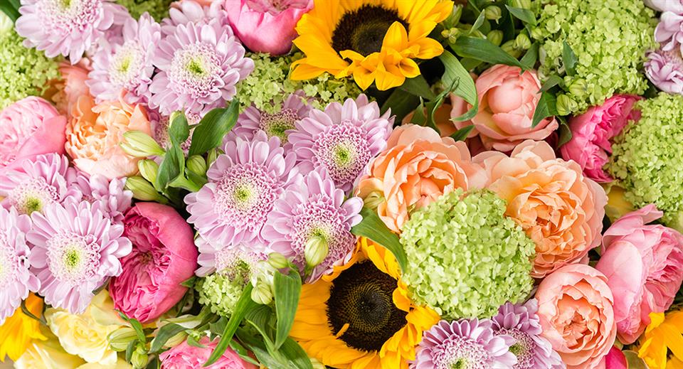 Buds2Bloom Florist