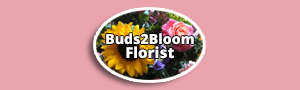 Buds2bloom Florist